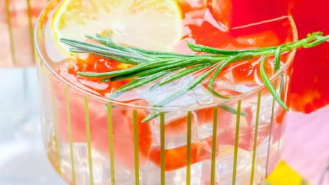 Rosemary Watermelon Lemonade Vodka Cocktail and Mocktail Recipe