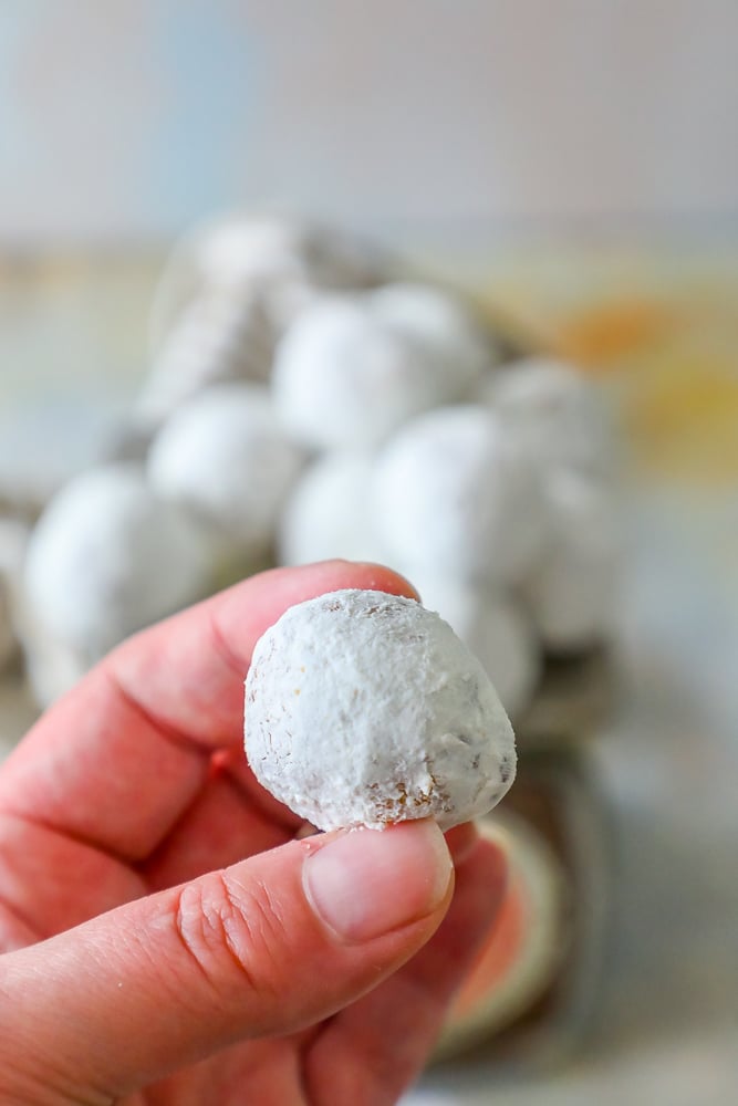 powdered sugar donut hole up close