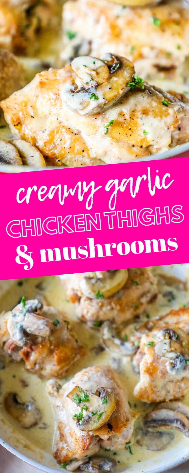 creamy garlic chicken thighs in a pan picture