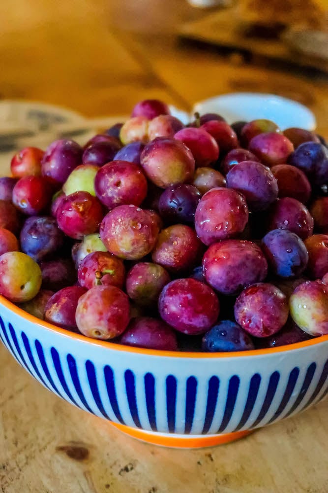 a bowl of grapes
