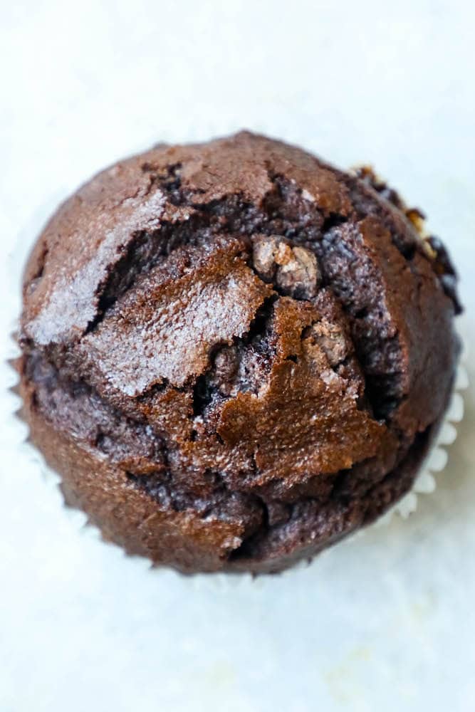 picture up close of chocolate muffin.