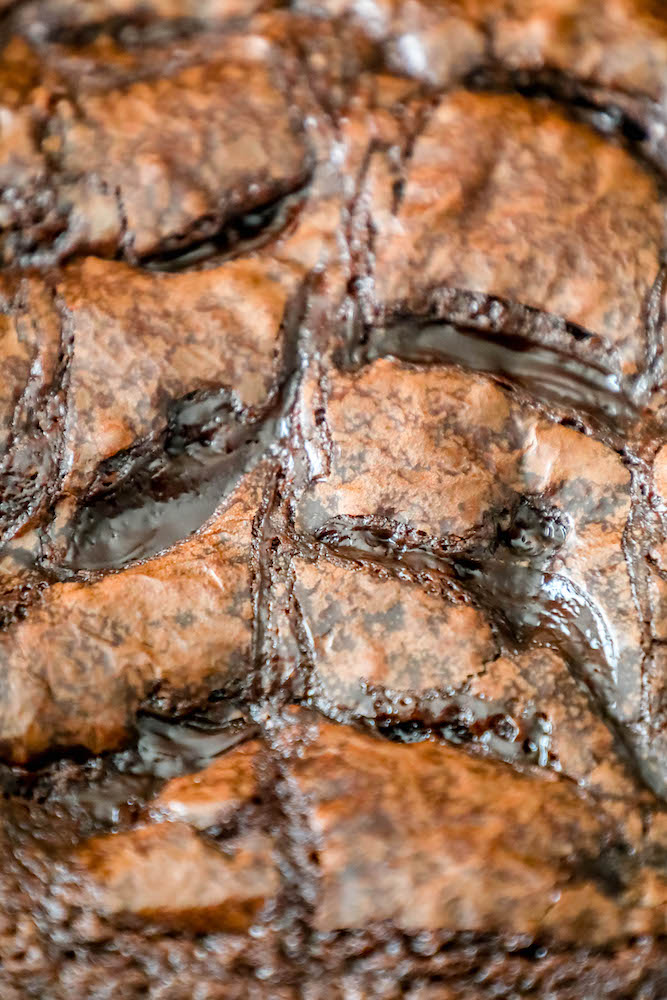 picture up close of fudge in a chocolate brownie