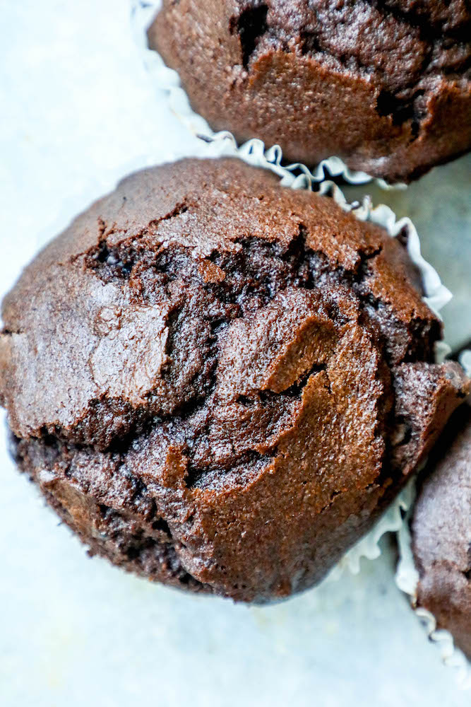 picture up close of two chocolate muffins. 