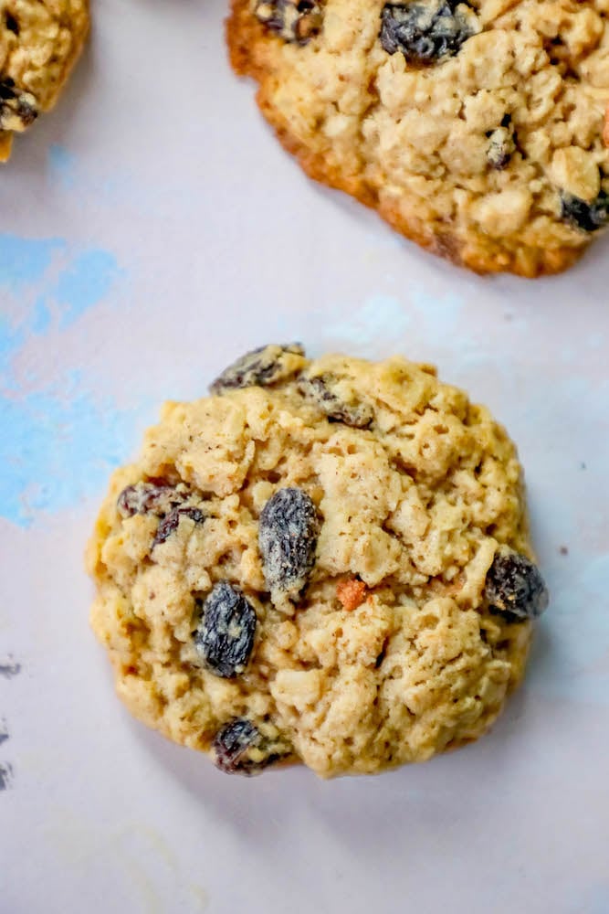 raisin oatmeal cookie up close 