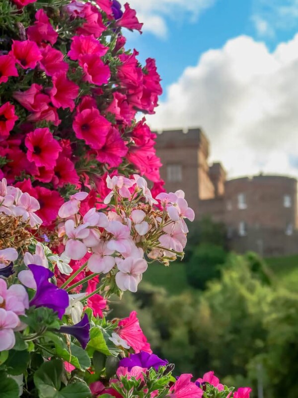A British Isles Cruise unveiling floral beauty, featuring a castle bouquet amid a stunning castle backdrop.
