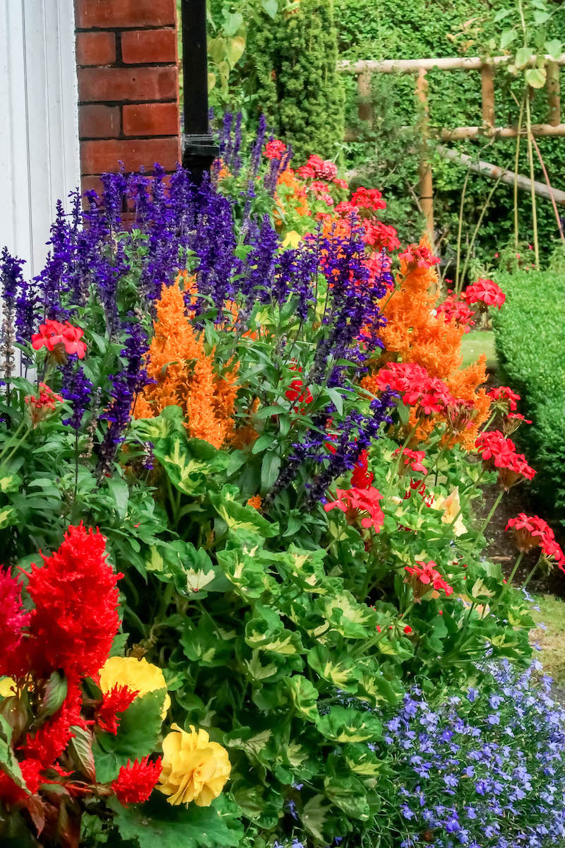 a garden outside St Stephens Green