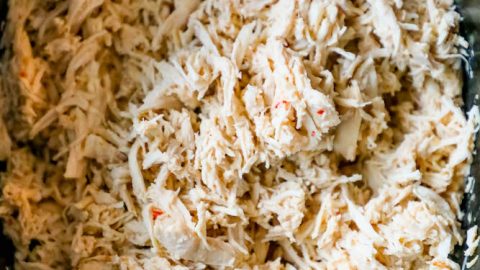 The Best Easy Slow Cooker Shredded Chicken Recipe