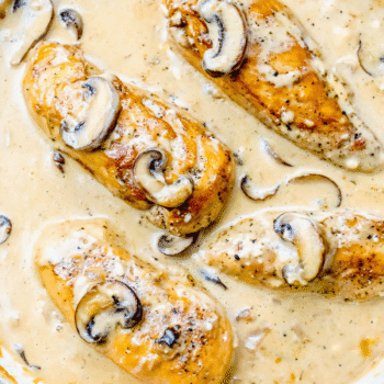 Chicken Stroganoff features tender chicken breasts and mushrooms in a creamy sauce, topped with sliced mushrooms—an easy 20 minute cream cheese chicken dinner shown in close-up.