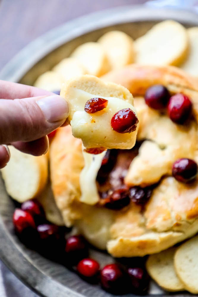 piece of melted brie on a piece of bread with cranberries on it.
