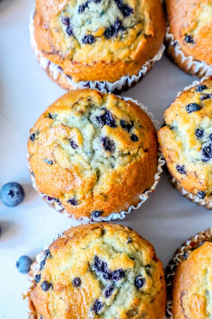 The Best Easy Blueberry Muffins Recipe Sweet Cs Designs   Easy Jumbo Blueberry Muffins Recipe Picture 735x1103 