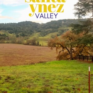 Visiting wineries in Santa Ynez Valley.