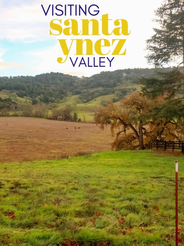 Visiting wineries in Santa Ynez Valley.