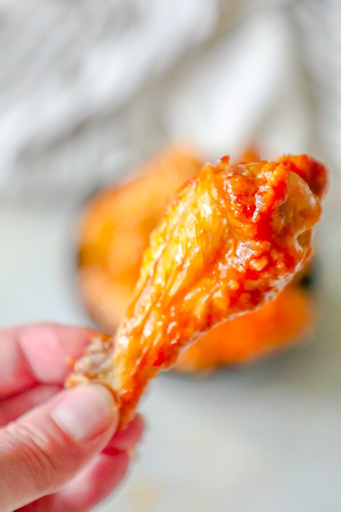 picture of hand holding chicken wing