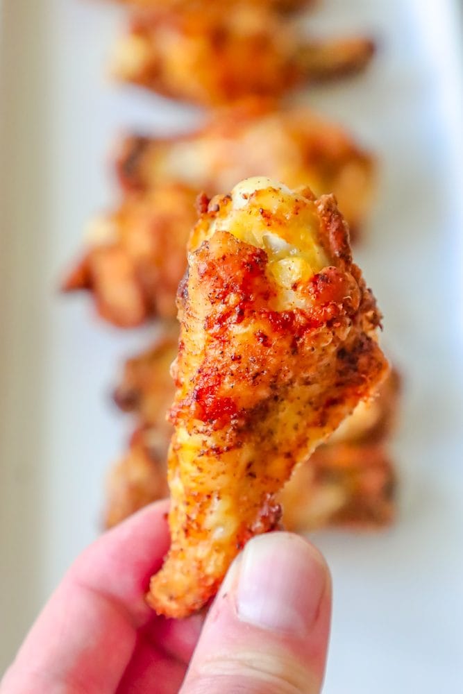 a hand holding a chicken wing covered in dry cajun rub