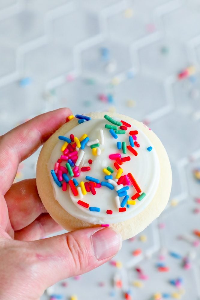 picture of hand holding iced sugar cookie with sprinkles