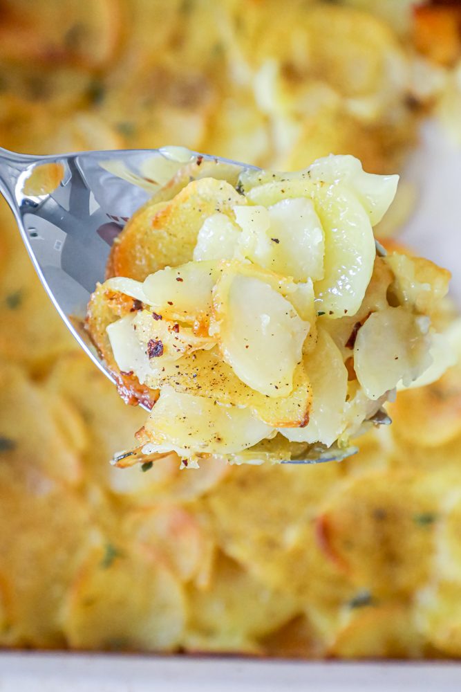 thinly sliced potatoes baked in cheesy sauce.