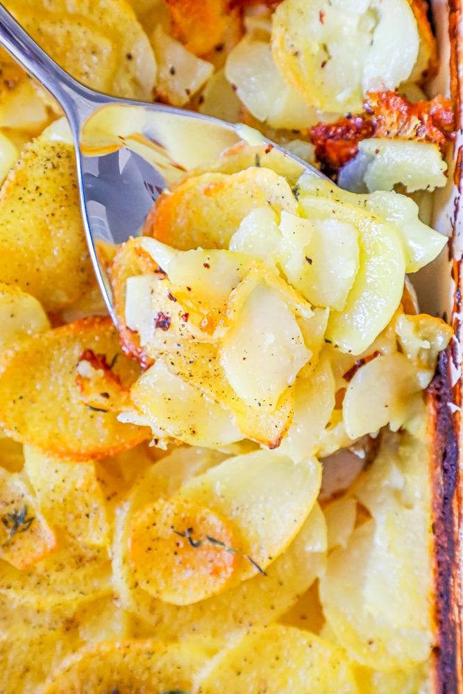 thinly sliced potatoes baked in cheesy sauce.