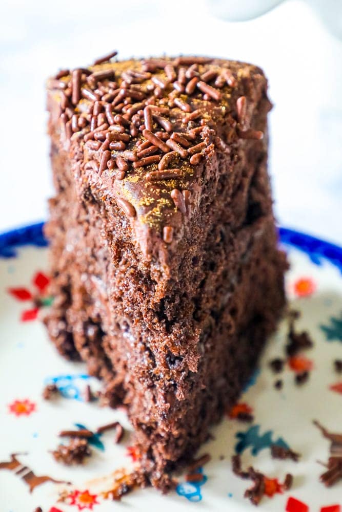 12+ Chocolate Spice Cake