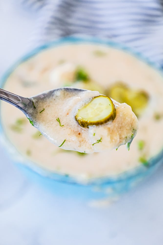 picture of spoon with dill, pickle soup, and pickle slices on top