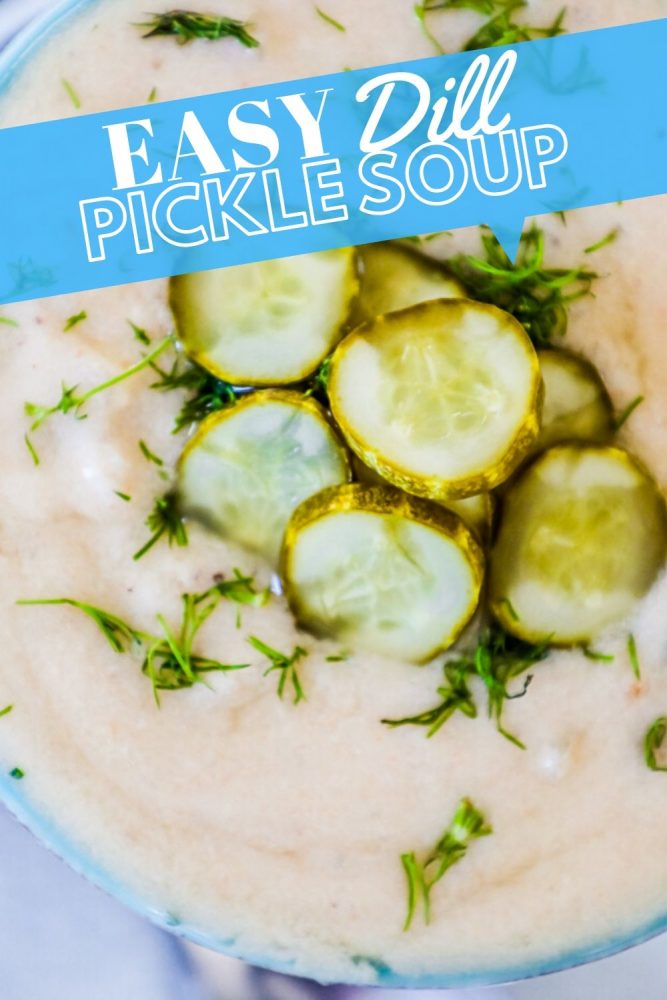 picture of bowl with dill, pickle soup, and pickle slices on top