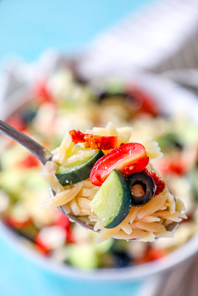 orzo, tomatoes, sun dried tomatoes, and olives on a spoon up close