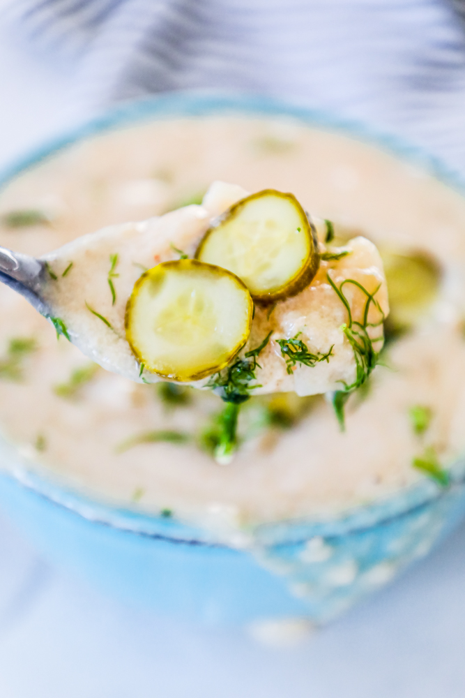 picture of spoon with dill, pickle soup, and pickle slices on top
