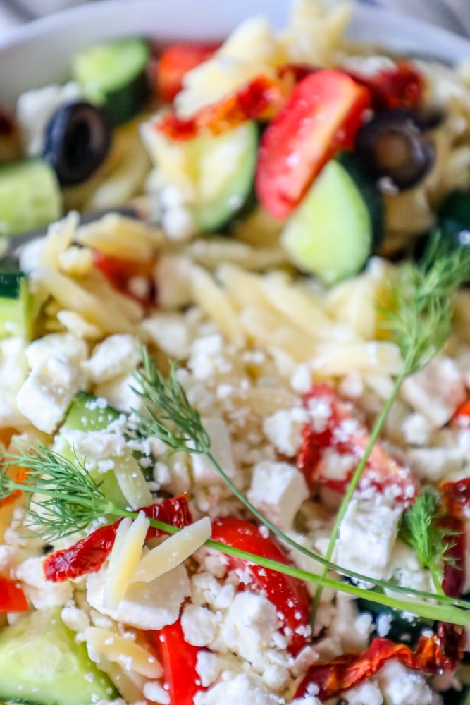 up close of cherry tomatoes, olives, sun dried tomatoes, feta cheese, cucumbers, and fresh dill in a bowl over orzo.