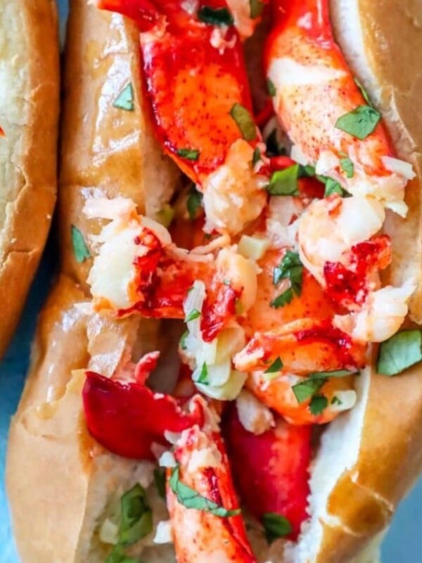 picture of Connecticut style lobster roll on a blue table