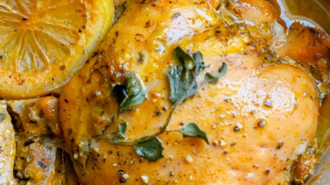 Greek chicken thigh in aa baking dish with oregano and lemon in pan
