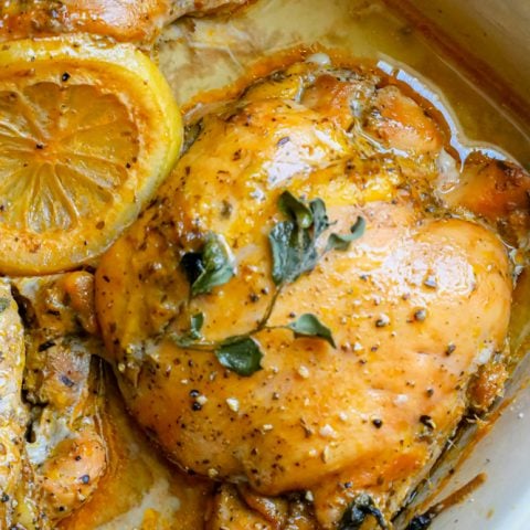 Greek chicken thigh in aa baking dish with oregano and lemon in pan