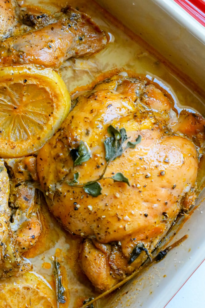 Greek chicken thigh in a baking dish with oregano and lemon in pan