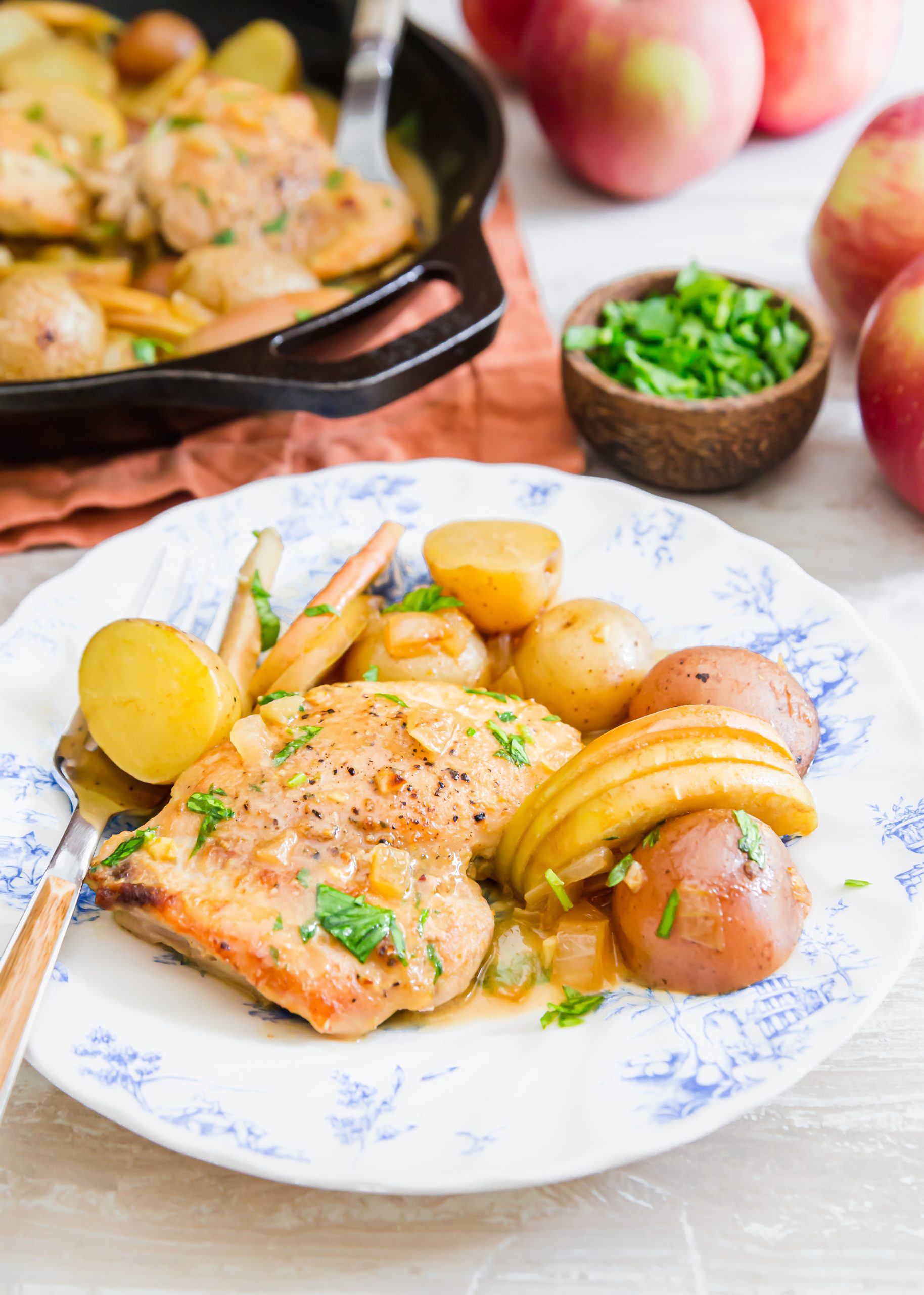 picture of chicken thigh, potatoes, apple slices in a mustard sauce on a plate 