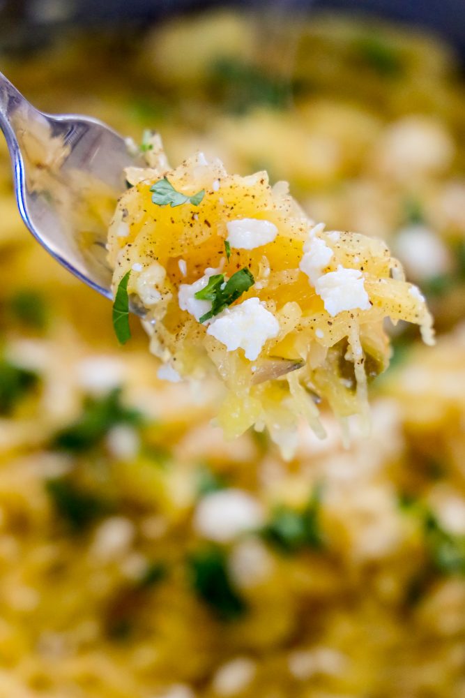 picture of spaghetti squash with green chile sauce and cheese on a fork 