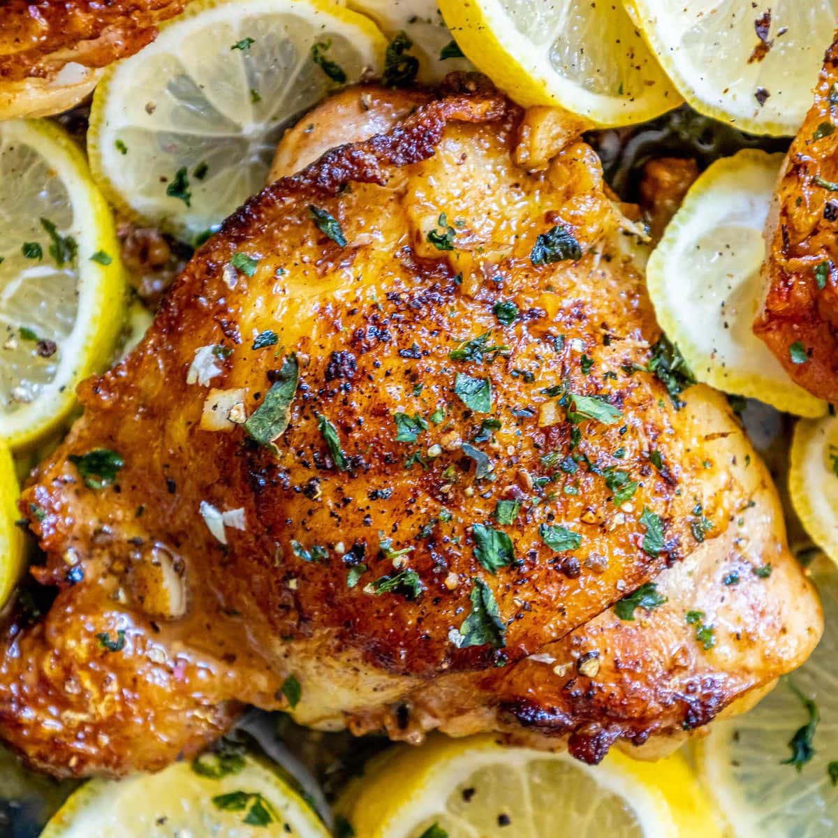 picture of seared chicken thigh in a pan seasoned with garlic herbs and lemon slices