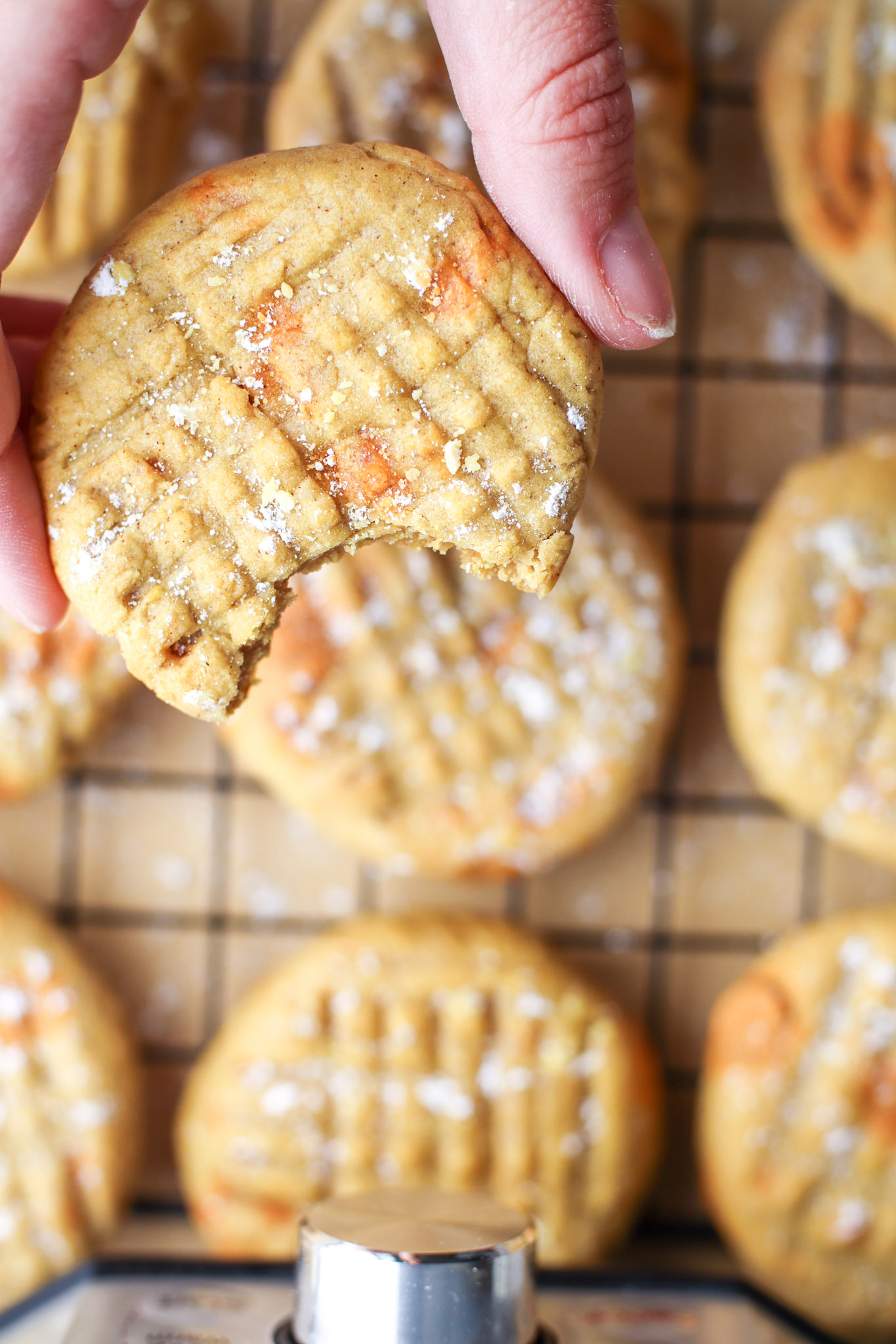 picture of a hand holding pumpkin cookies with butterscotch chips on a cooling rack next to an air fryer