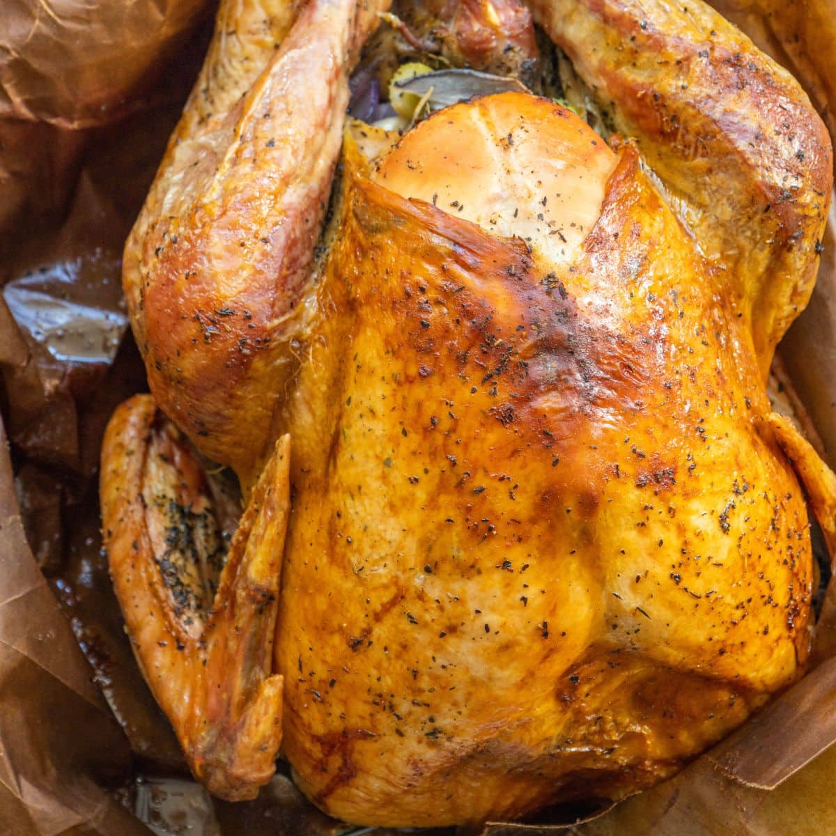 How to Cook a Turkey - Brown Bag method - Ashlee Marie - real fun with real  food