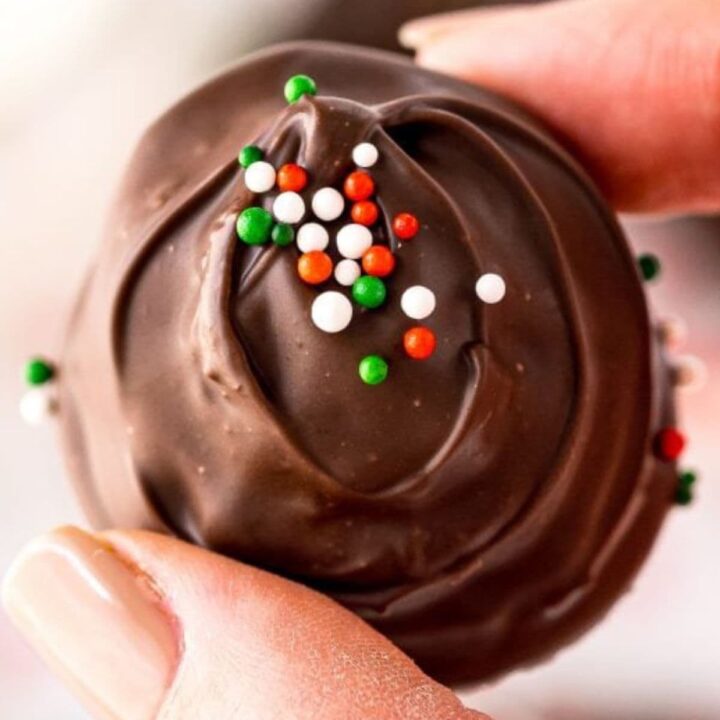 a hand holding a chocolate buttercream candy with green, white, and red sprinkles