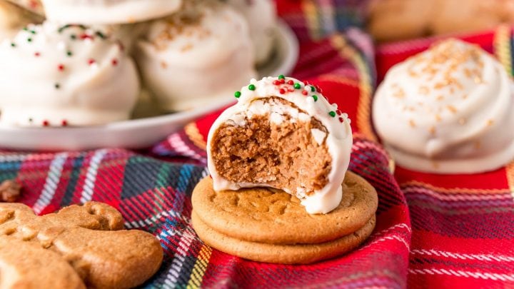 Easy Gingerbread Truffles Recipe