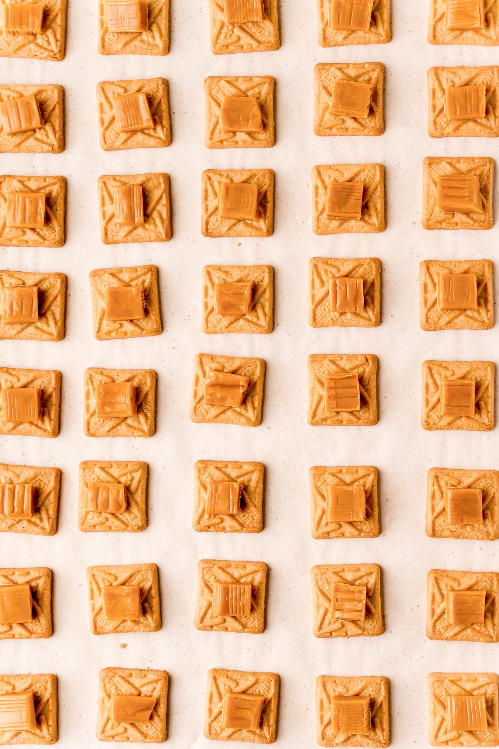 Peanut butter pretzels on a white surface, reminiscent of Easy millionaires bars.