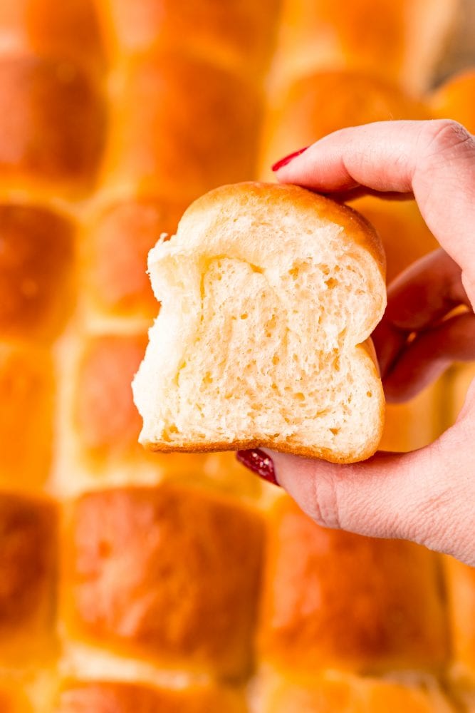 picture of hand holding soft buttery roll
