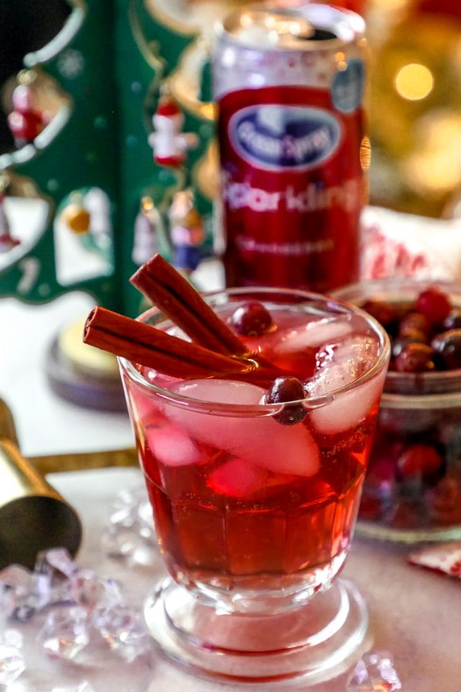 glass of cranberry juice with cinnamon sticks, ice, and cranberries in it