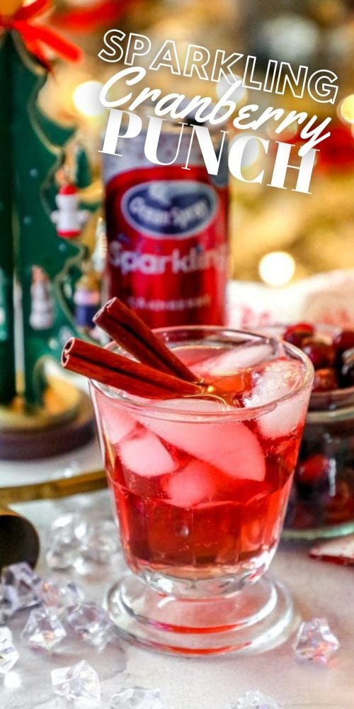 glass of cranberry juice with cinnamon sticks, ice, and cranberries in it