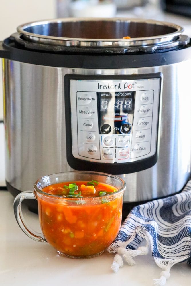 Electric Pressure Cooker Vegetable Soup (Easy Instant Pot Recipe) - Recipes  That Crock!