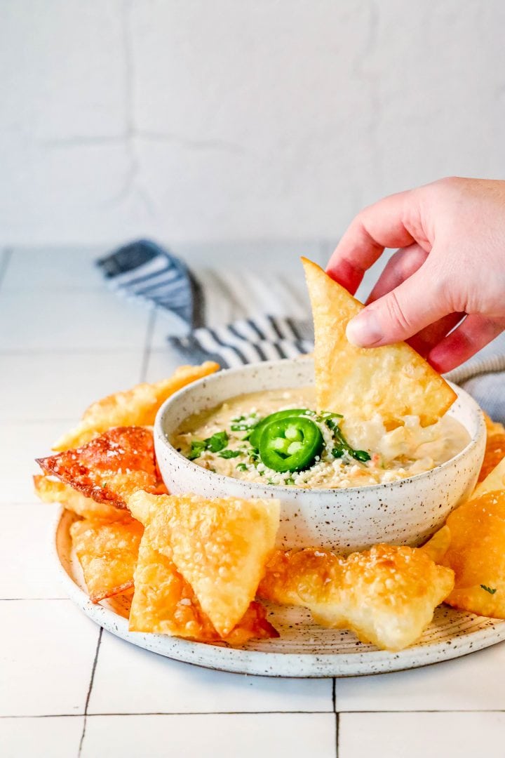 White Cheese Hamburger Queso Dip Recipe Sweet Cs Designs