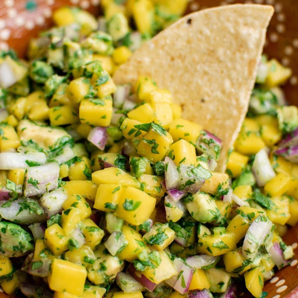 Easy Mango Avocado Salsa Recipe - Sweet Cs Designs
