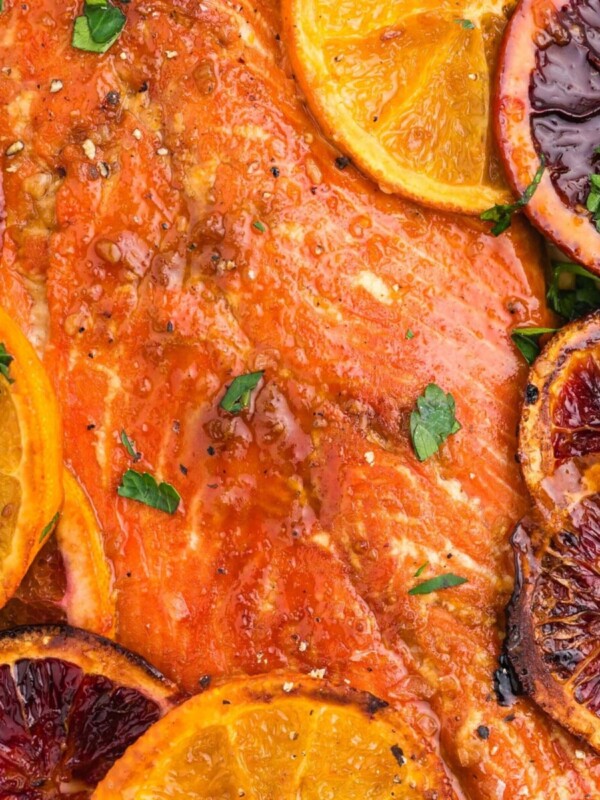 Grilled salmon with orange slices on a plate.