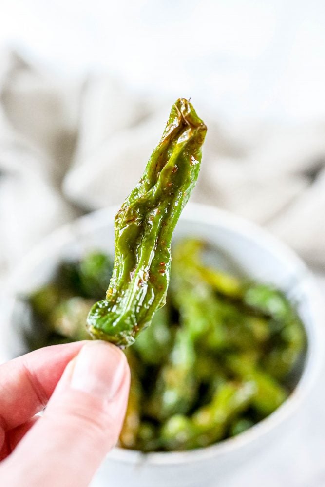 shishito peppers in a bowl on a table