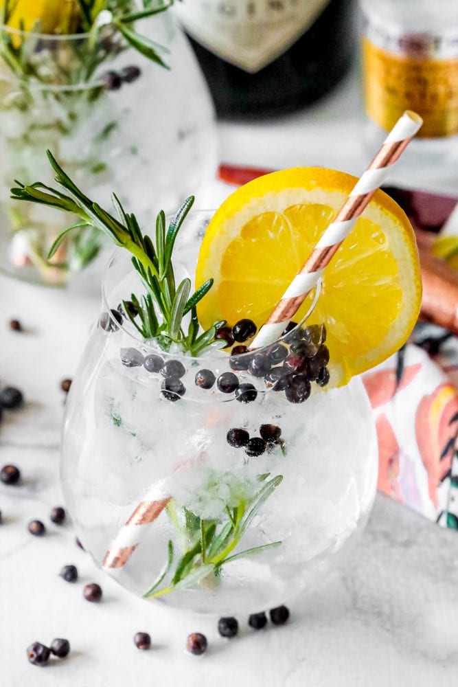 Gin and Tonic Recipe