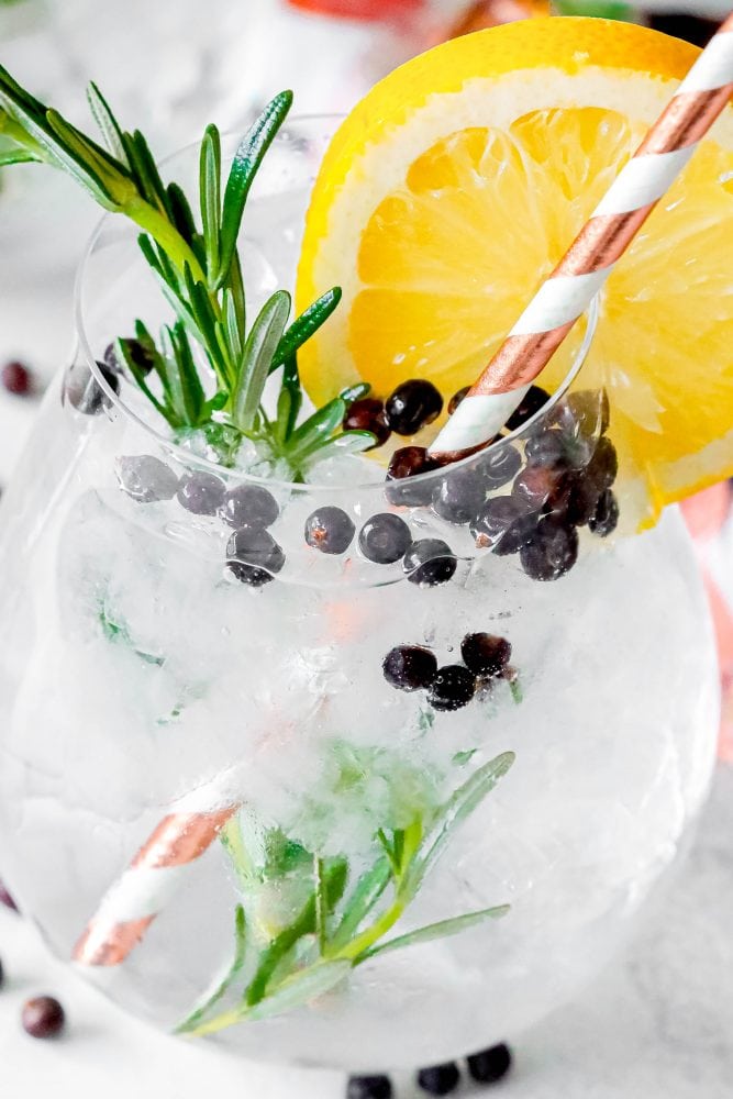 Gin and Tonic Recipe