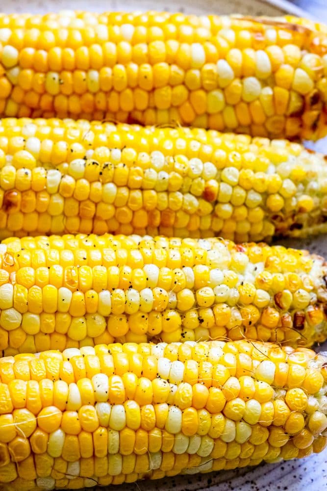 closeup picture of corn on the cob